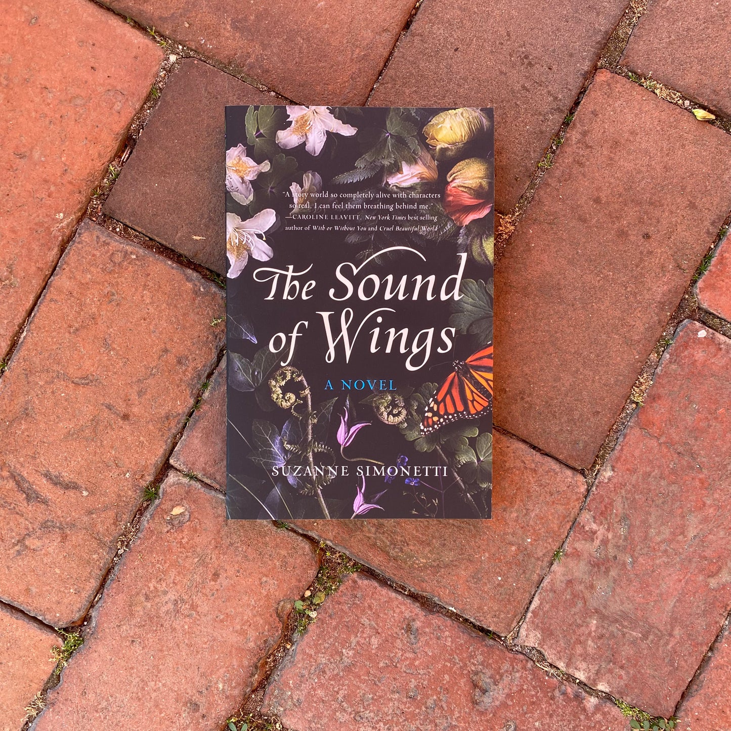 The Sound of Wings