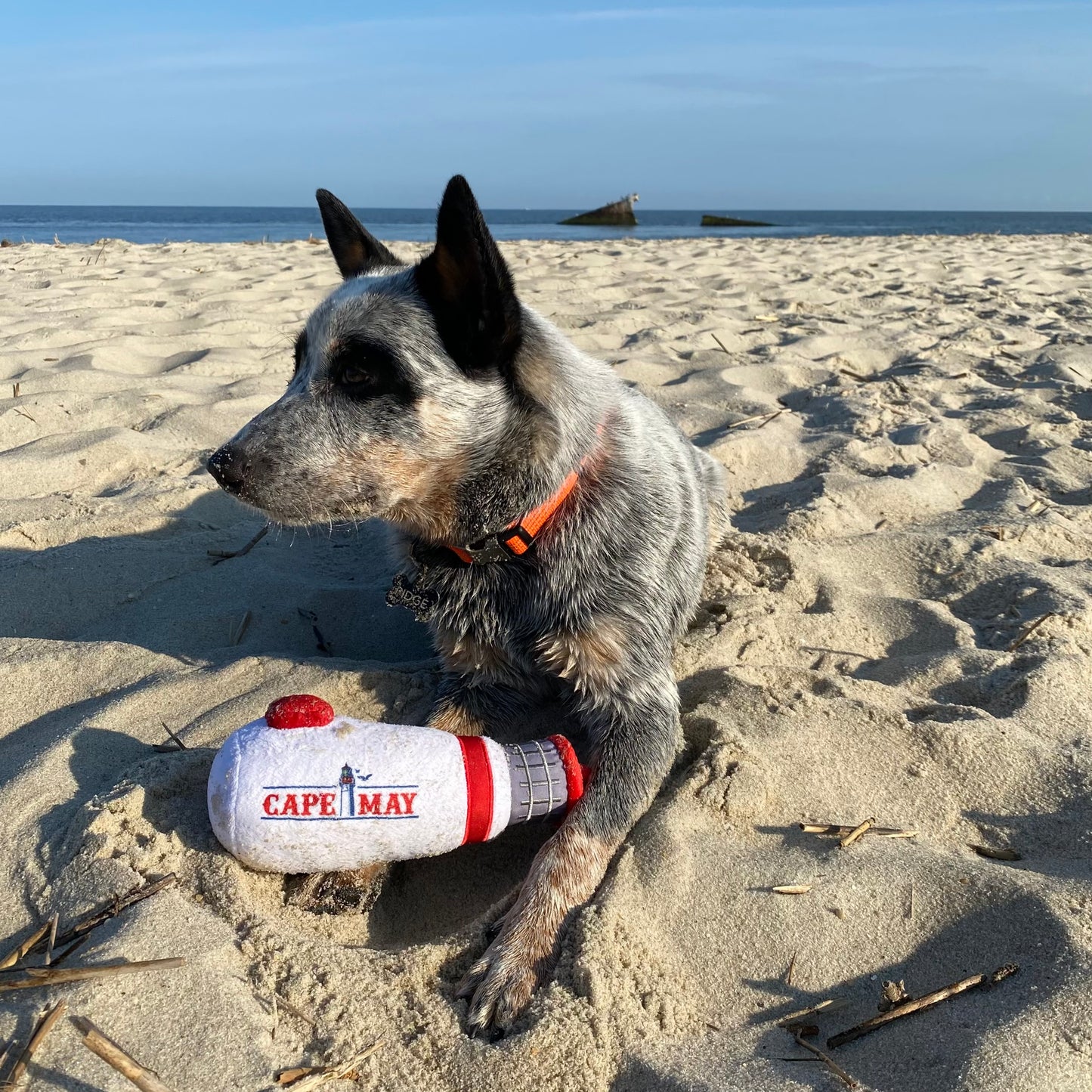 Lighthouse Dog Toy
