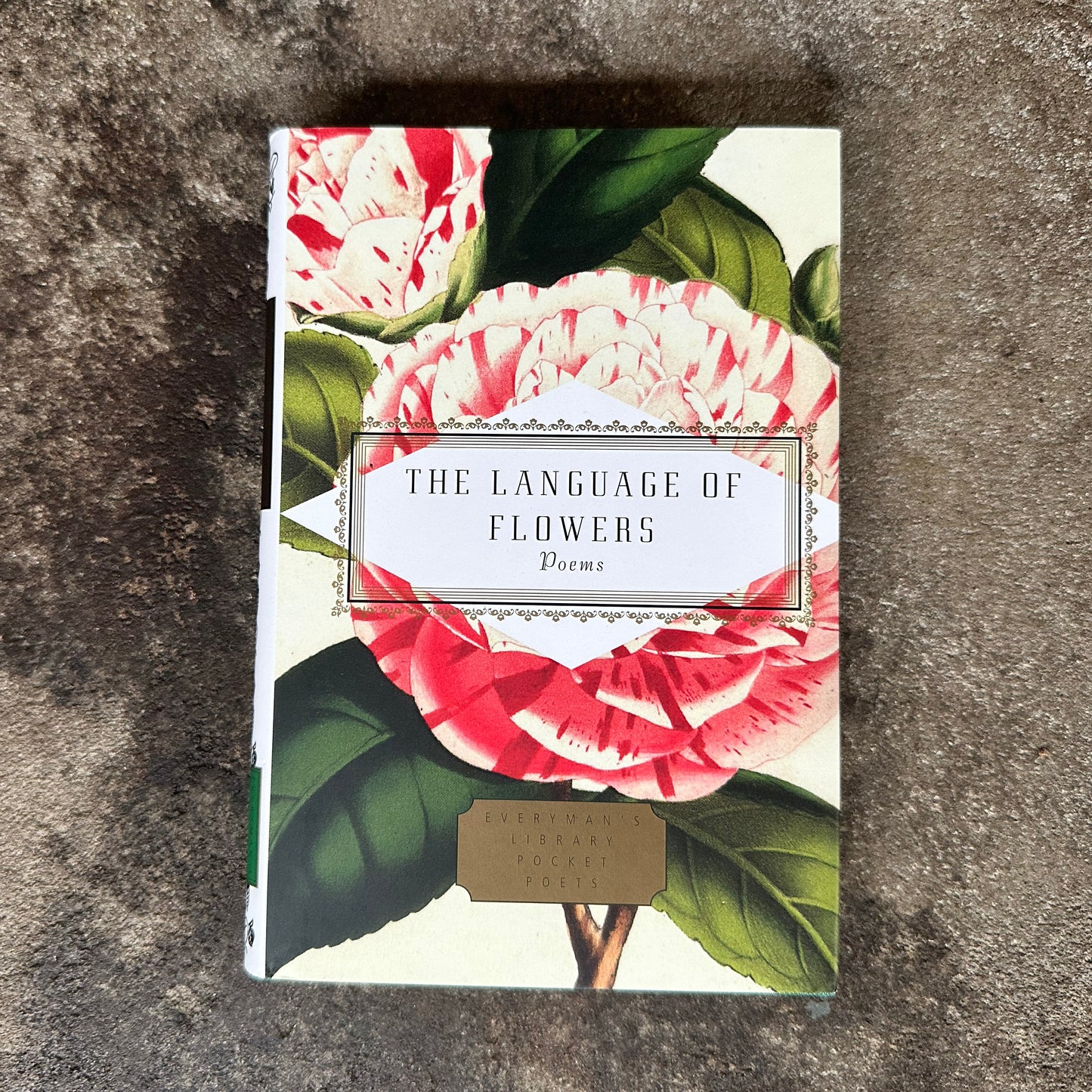The Language of Flowers Poems