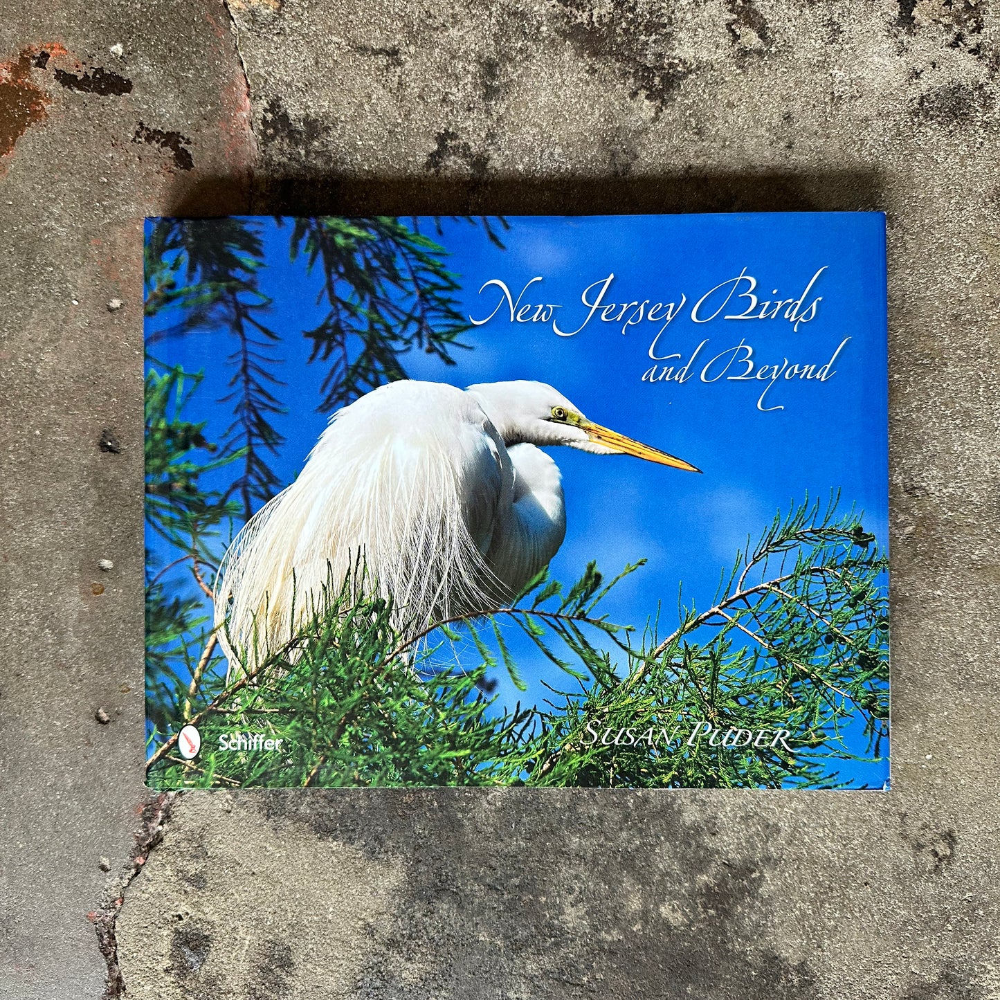 New Jersey Birds & Beyond