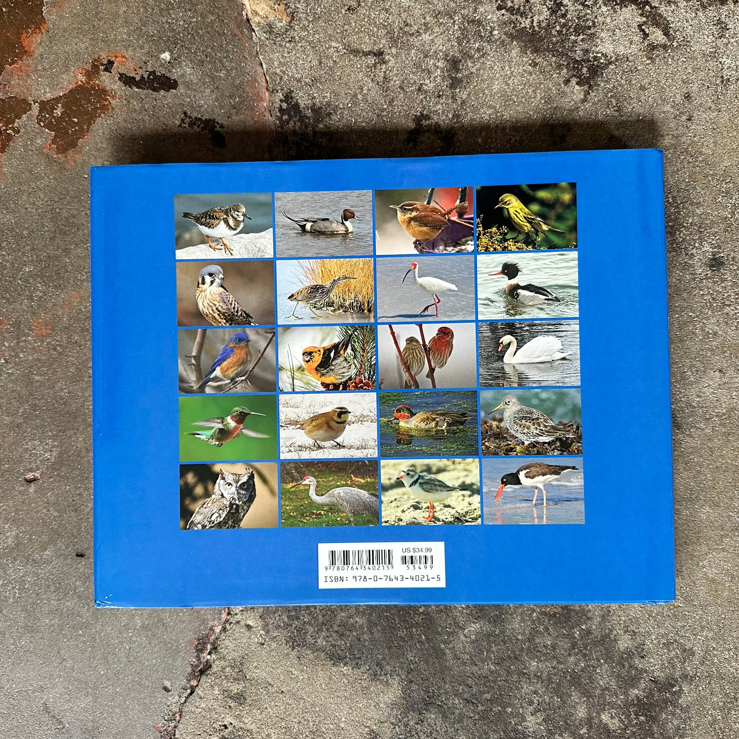 New Jersey Birds & Beyond