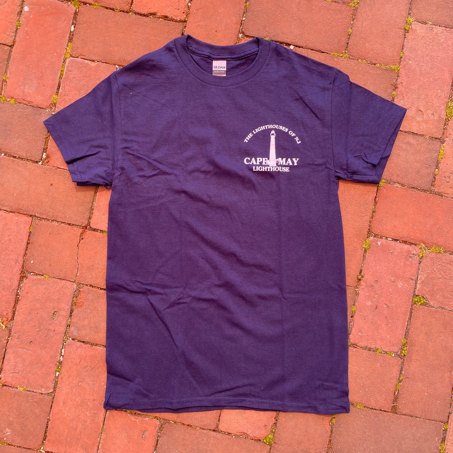 Lighthouses of NJ T-Shirt