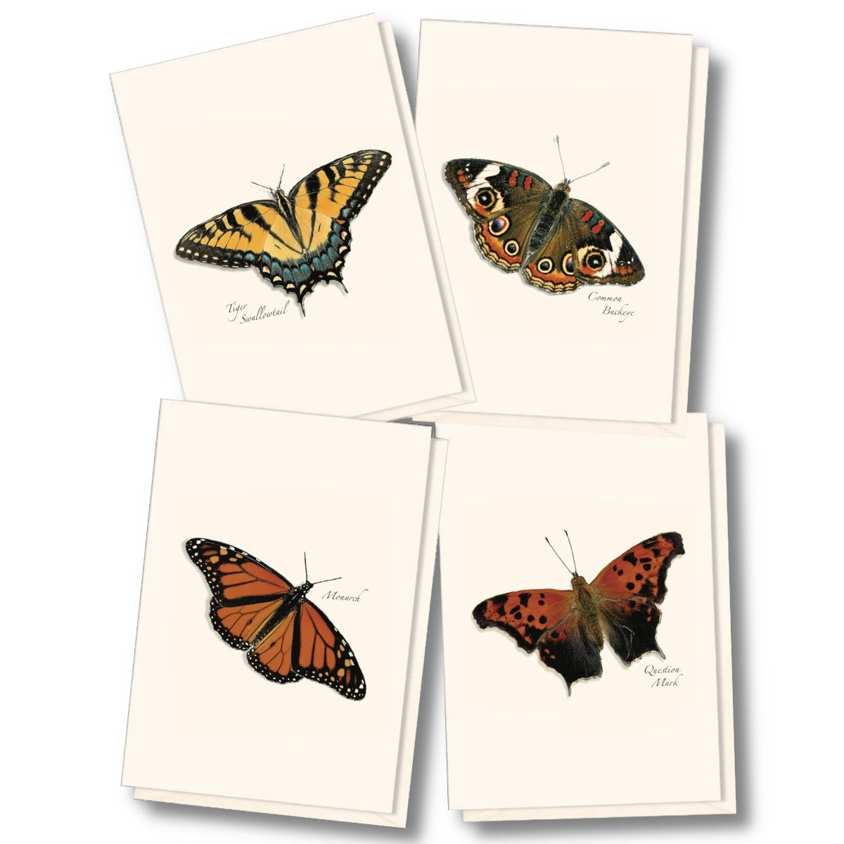 Butterfly Assortment Notecard Set