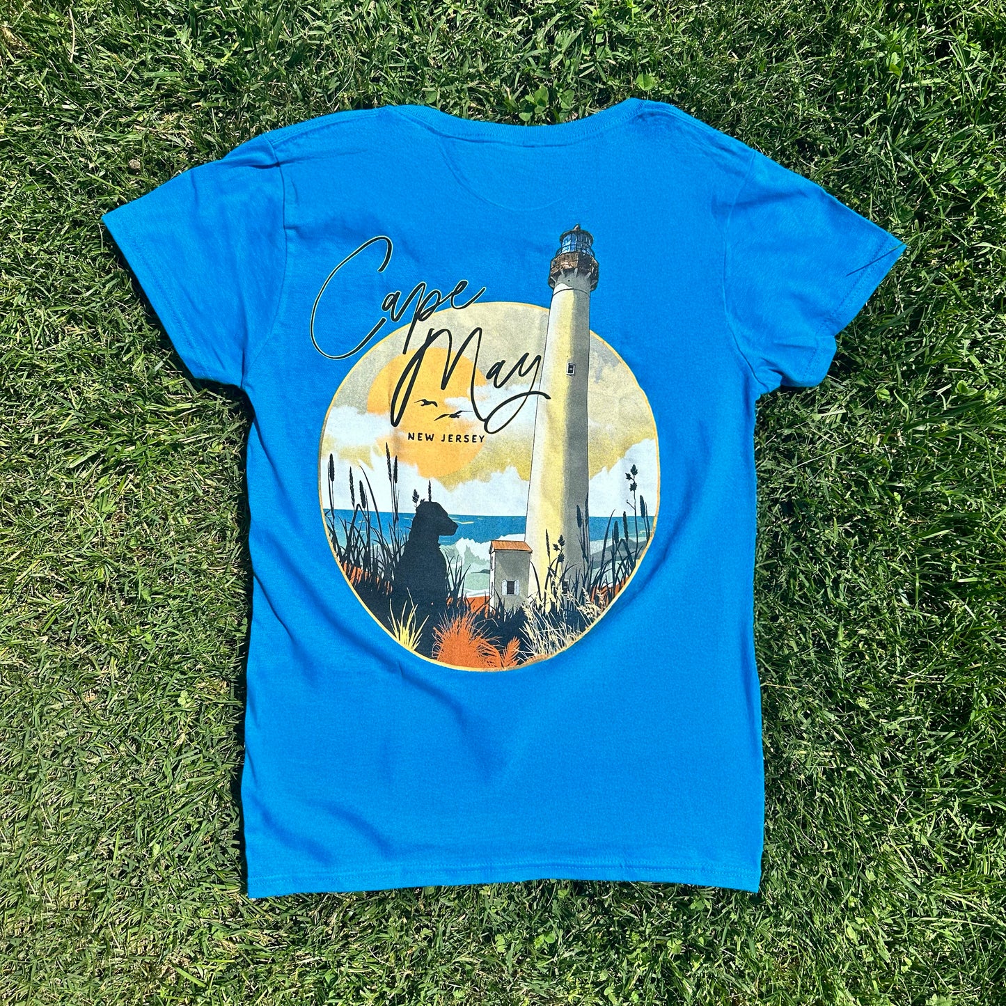 Lighthouse Circle Back T Women's V Neck
